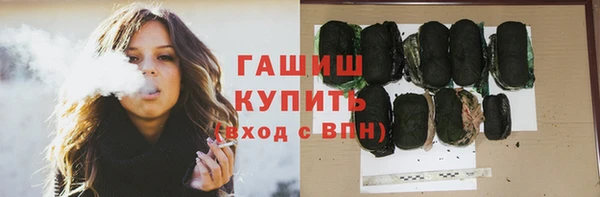 apvp Алзамай